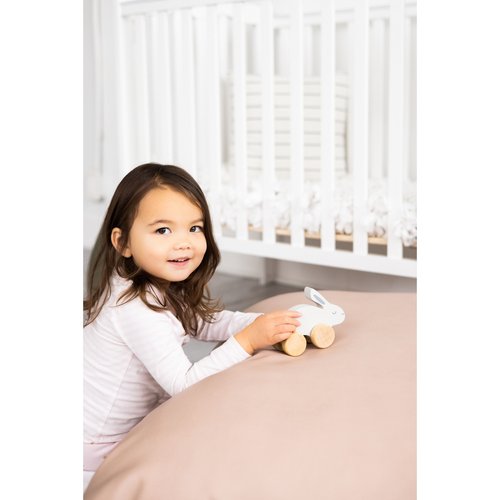 Wooden Bunny Push Toy