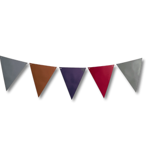 Car Pennant Banner 8 ft