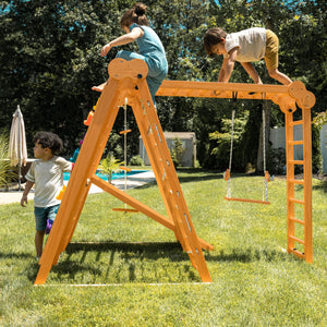 Chestnut | Outdoor & Indoor Foldable Jungle Gym