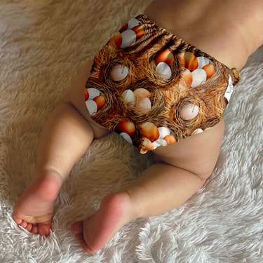 Wilder Cloth Diaper Cover - Eggcelent - MOOGCO Baby