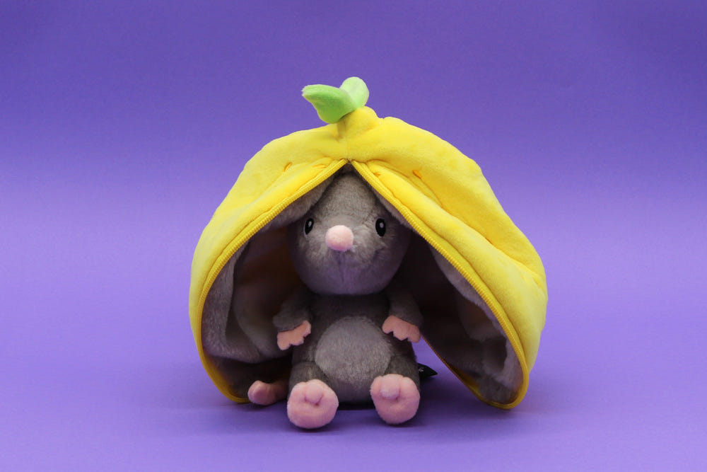 Rocket the Mouse/Lemon - Flipetz