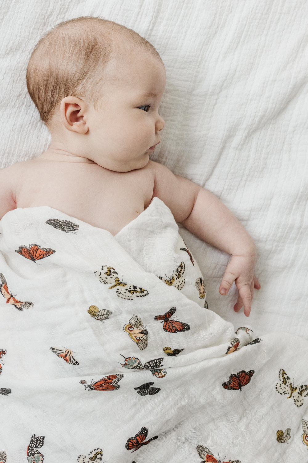 Butterfly Migration Swaddle - MOOGCO Baby