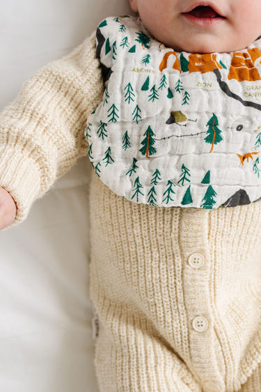 "National Parks Bib for babies featuring colorful nature designs, perfect for mealtime messes."