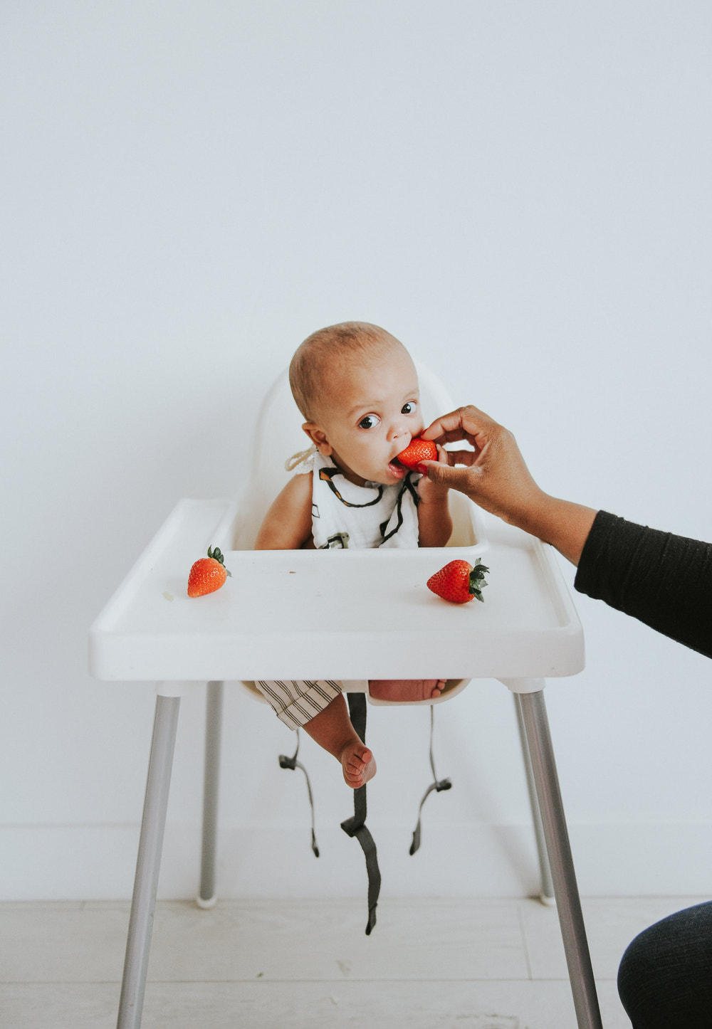 Zoology and Specs Bib Pack - MOOGCO Baby