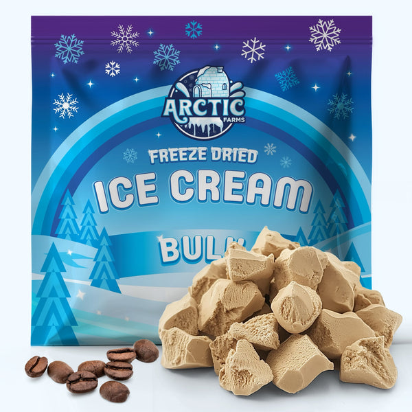 PREMIUM Freeze Dried Ice Cream * Only 5 Ingredients * Neapolitan