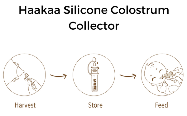 Haakaa Silicone Colostrum Collectors 4 ml, 2 PK - Pre-Sterilized, angled view for breastfeeding support.