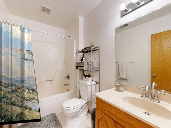 Balloon and Plane shower curtain on a tub shower combo in an American family bathroom