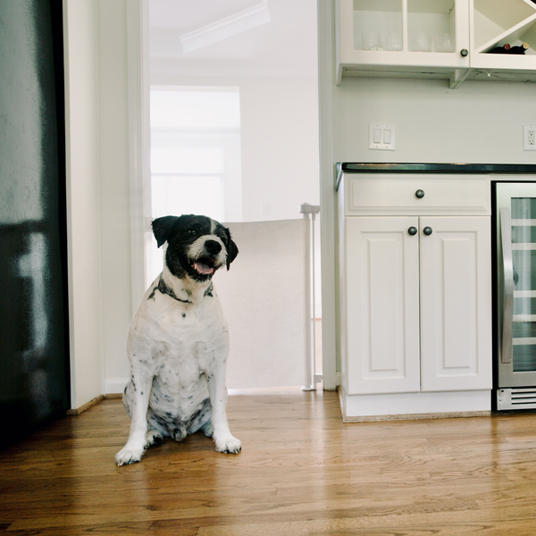 Stylish Crypton® Fabric Baby & Pet Safety Gate, stain-resistant, PFAS-free, fits 27.6" to 55" openings, 33" tall.