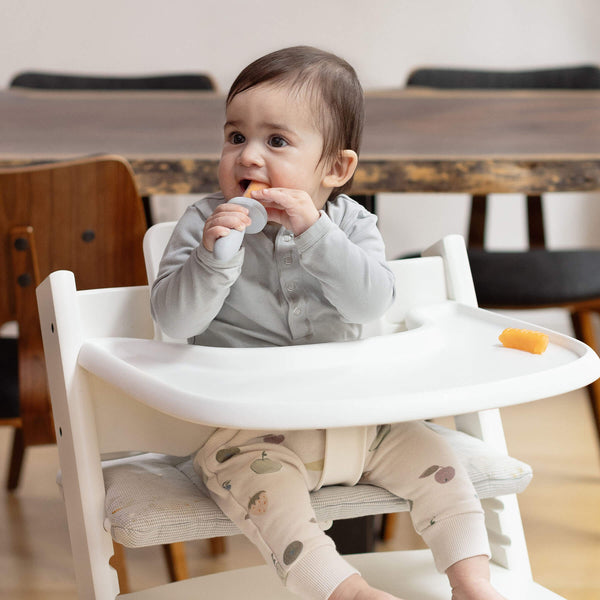 Ice Tray for Baby-Led™ Gumline Feeder, perfect for making healthy, fun snacks for your little one.