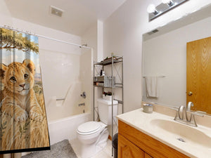 Lion Cub Safari shower curtain on a tub shower combo in an American family bathroom