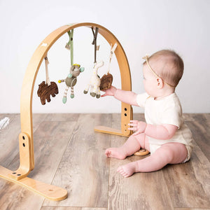 Natural Play Gym
