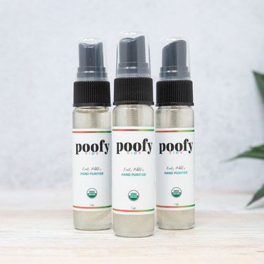 Hand Sanitizer Kids 3 Pack Travel (Fruity Pebbles)