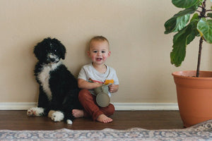 Silicone Snack Cup- Sage