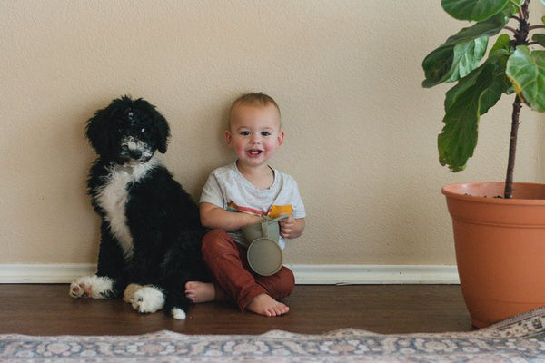 Silicone Snack Cup- Sage