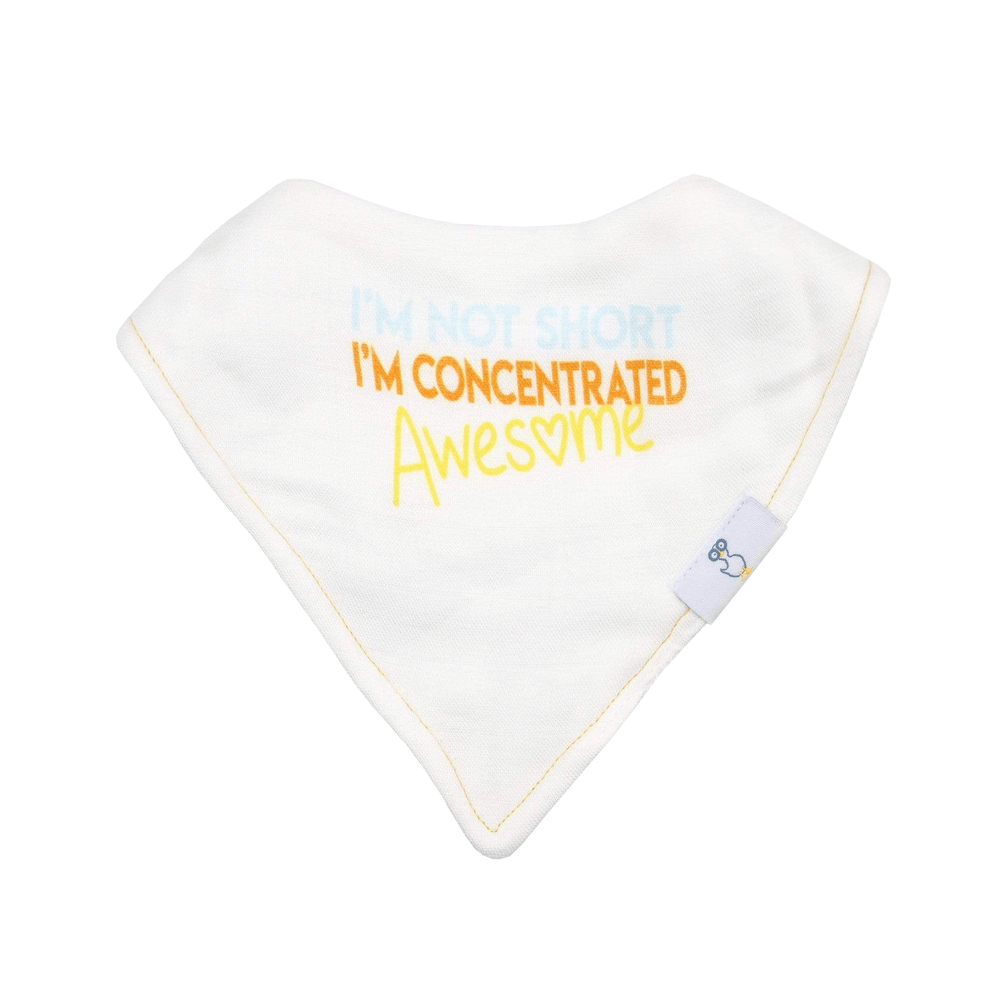 Awesome and Diamonds 2 PK Muslin & Terry Cloth Bib Set for babies, stylish and practical for mealtime messes.