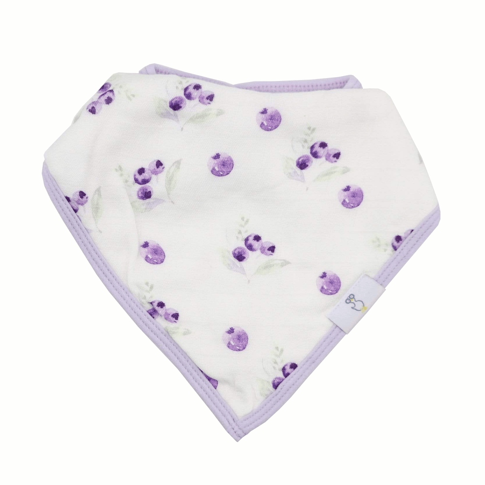 Blueberries and Flowers Lavender 2 Pack Muslin & Terry Cloth Bib Set for babies, featuring vibrant designs and soft materials.