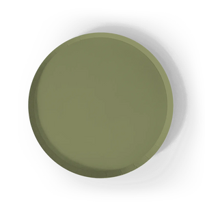 Green Paper Party Plate (12pcs)