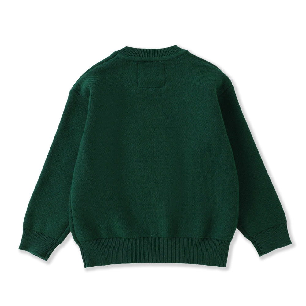 Green Santa Christmas Sweater