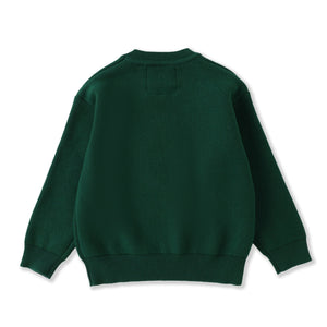 Green Santa Christmas Sweater
