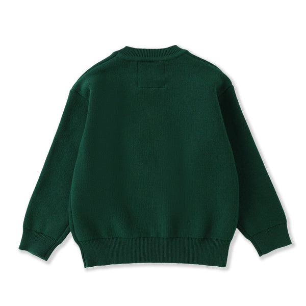 Green Santa Christmas Sweater