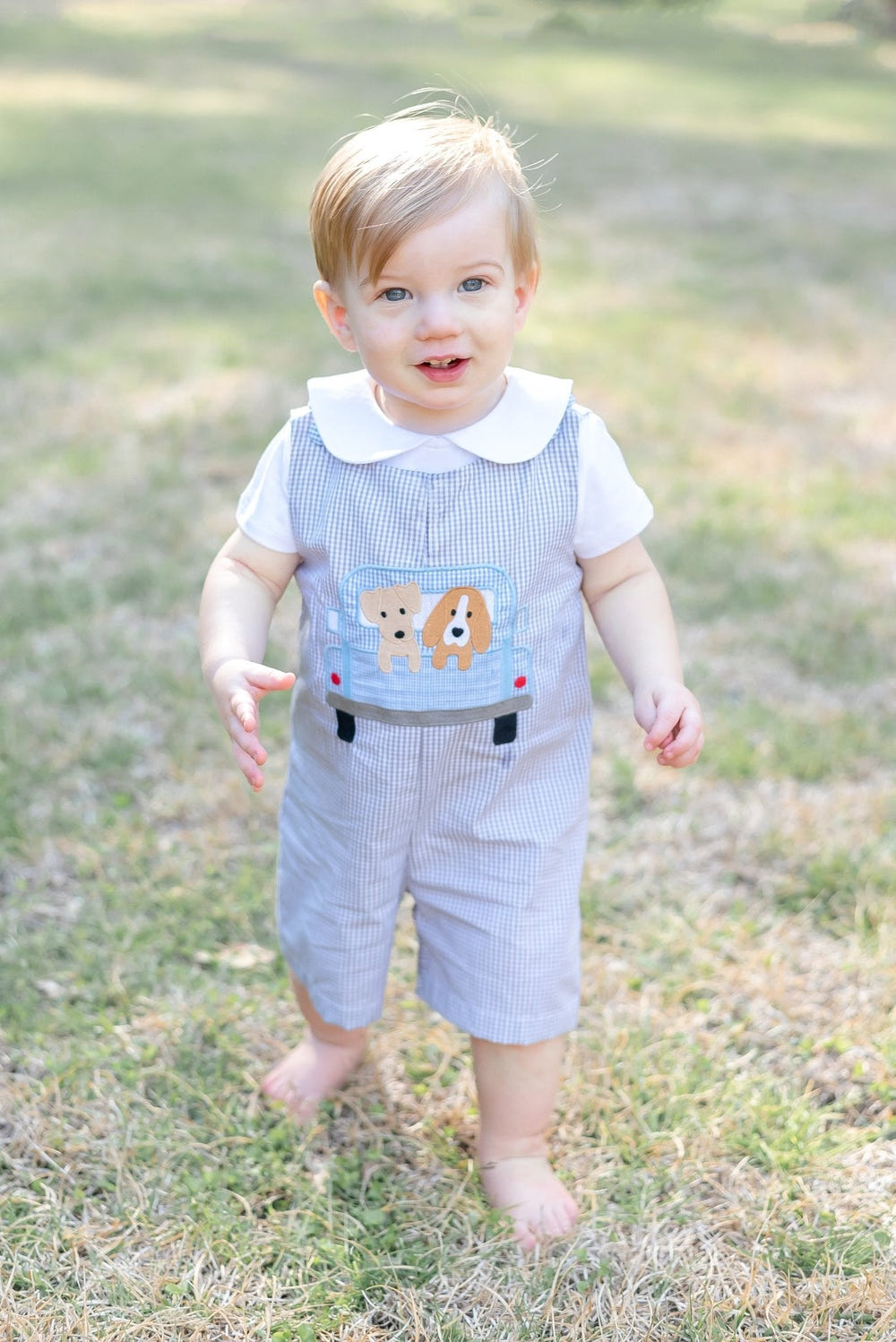Grey gingham shortalls featuring cute puppies in a truck, perfect for babies.