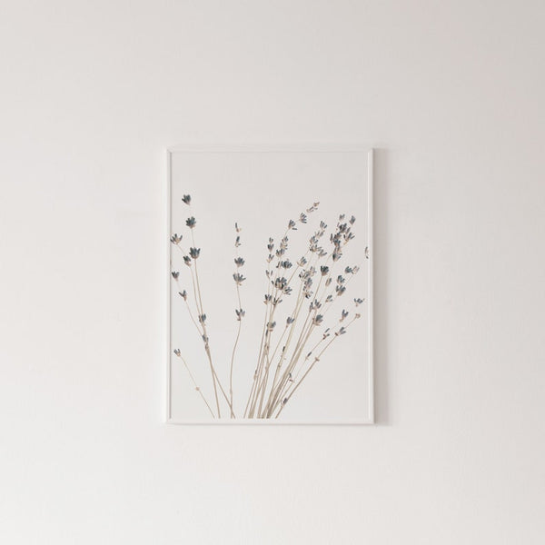 Botanical Canvas Paintings (3 Pack)