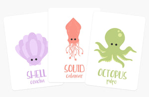 Sea Animals Flashcards