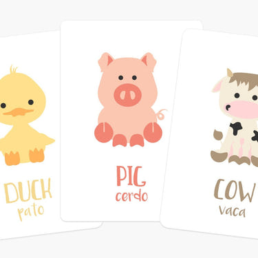Colorful farm animal flashcards for early learning and sensory play, perfect for babies and toddlers.