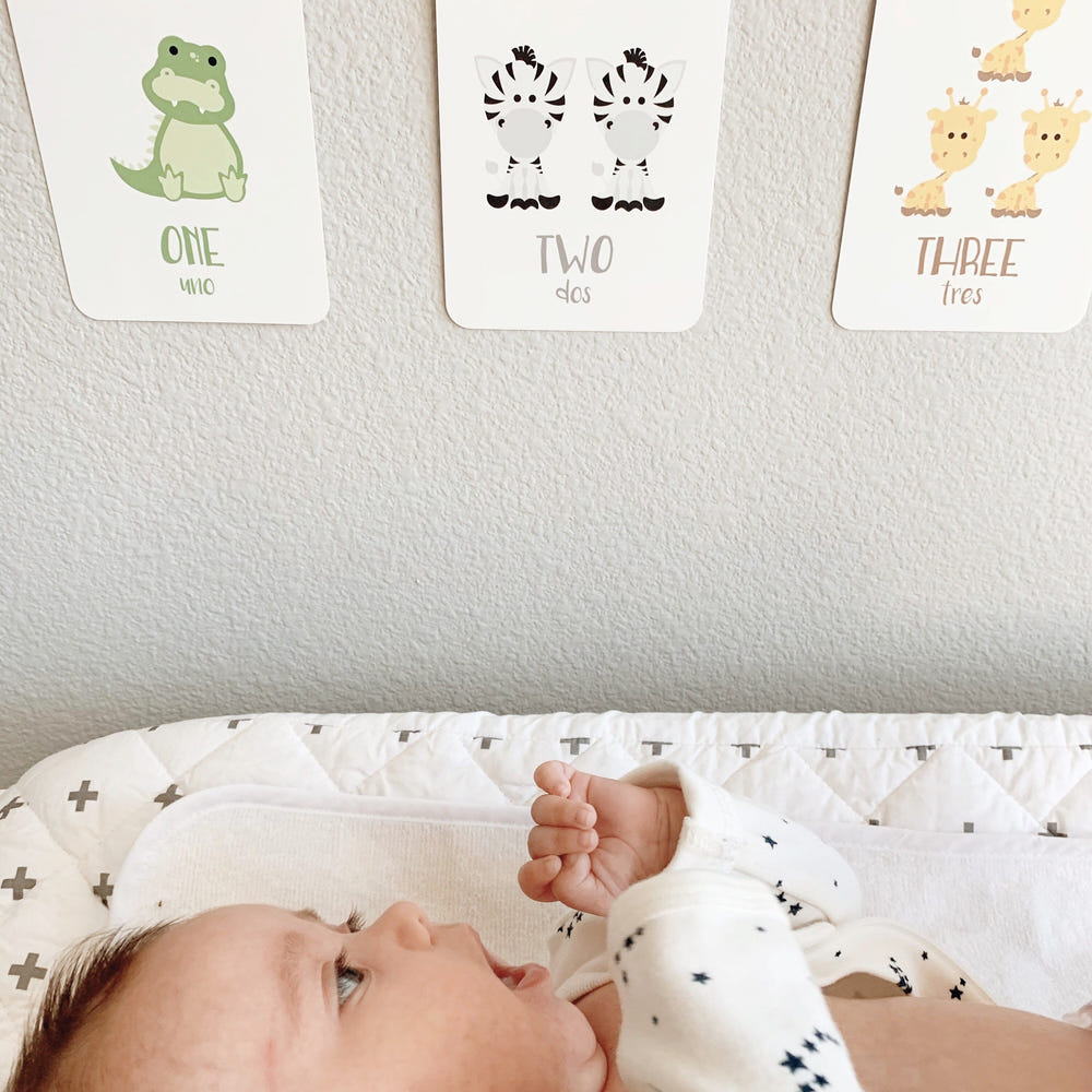 Counting flashcards featuring colorful animals for early learning and sensory play. Perfect for babies and toddlers.