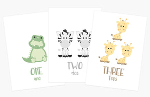 Montessori Flashcards Basics Bundle