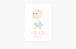 Desert Animal Flashcards