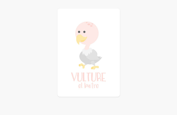 Desert Animal Flashcards