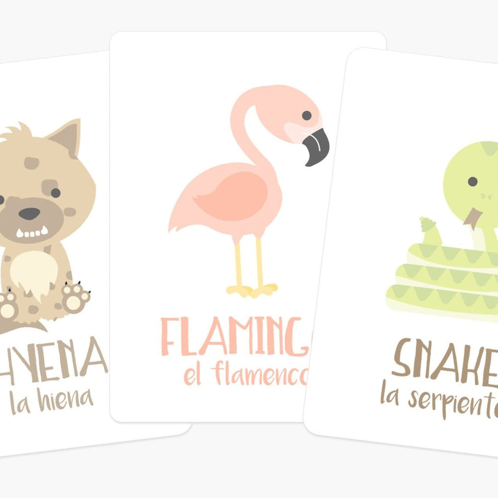 Desert Animal Flashcards for babies, promoting early learning and sensory play with vibrant animal illustrations.