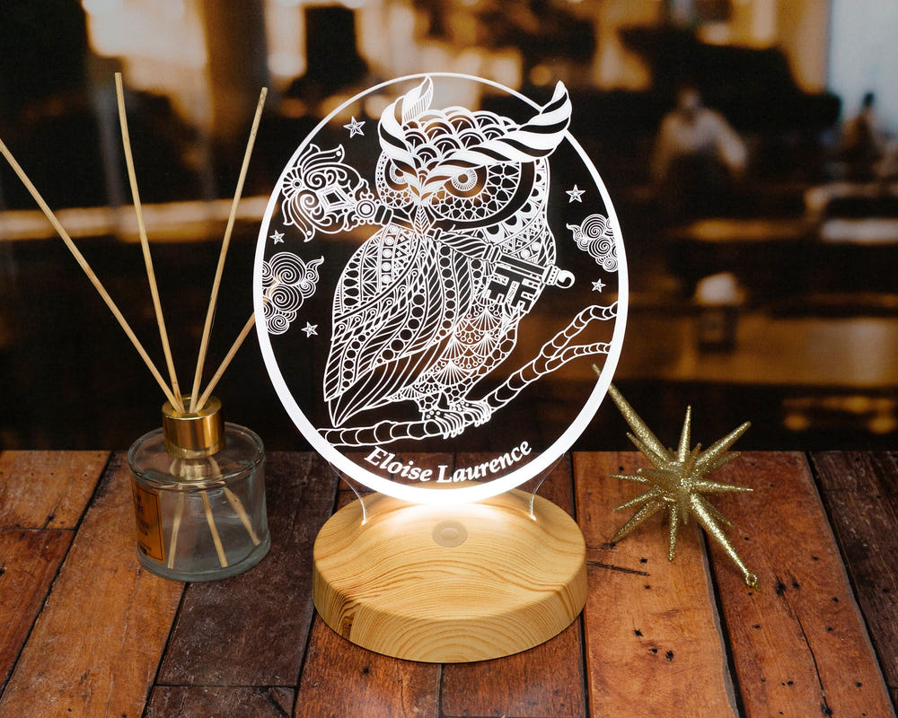 Personalized Owl Gift, Owl 3D LED Lamp, Perfect Gift for Owl Lovers by Drn Gift Store