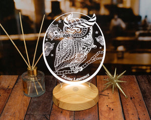 Personalized Owl Gift, Owl 3D LED Lamp, Perfect Gift for Owl Lovers by Drn Gift Store