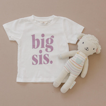 Big Sis T-Shirt: Purple Lettering, Sister Announcement Outfit