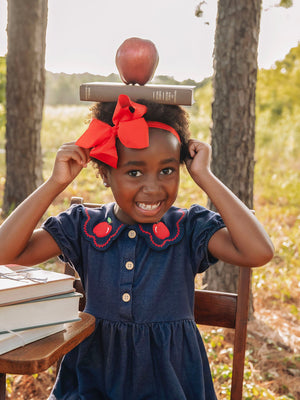 Back to School Apple Applique Girls Dress Petals Collar