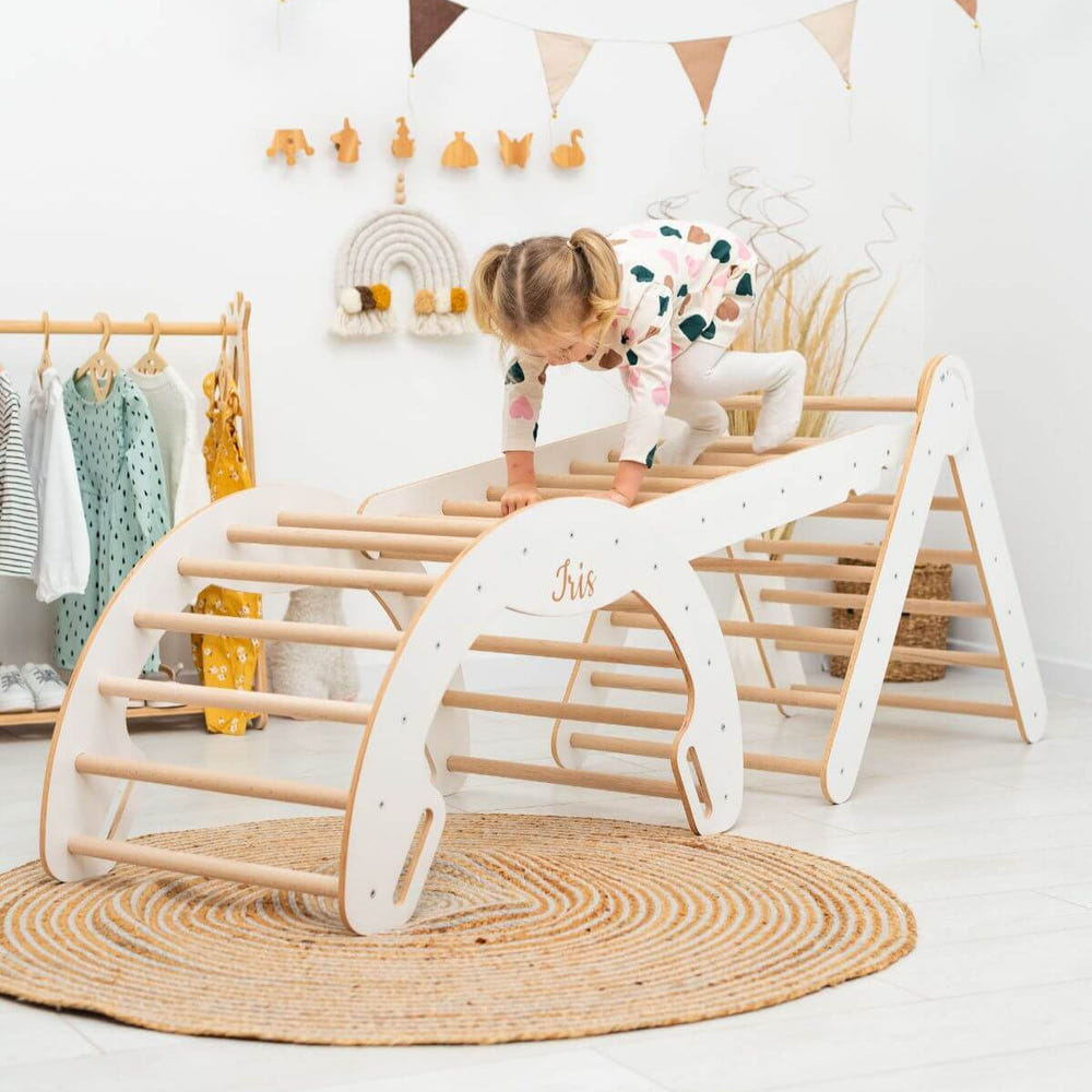 4 in 1 Indoor Climbing Set: Pikler Triangle + Slide + Ladder + Arch (B2B)