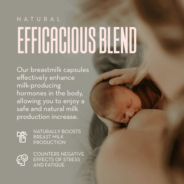 Breastfeeding Bundle - Breastfeeding Tea + Lactation Support