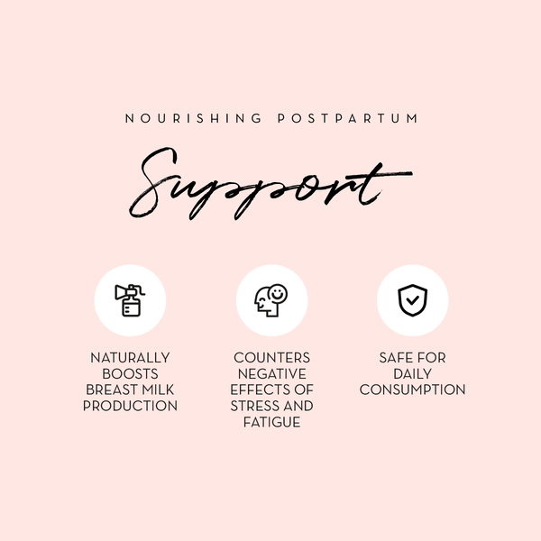 Breastfeeding Bundle - Breastfeeding Tea + Lactation Support