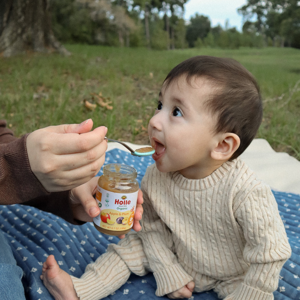 Holle Organic Baby Food Jar - Apple & Plum, 12 jars for healthy baby nutrition.