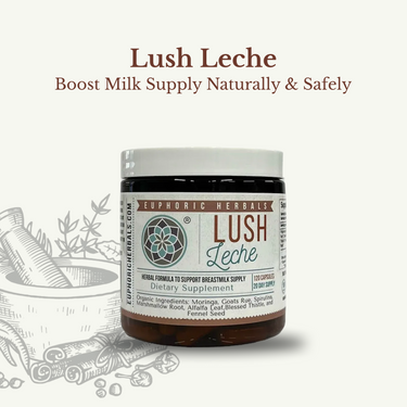 Lush Leche - Breastfeeding Supplement