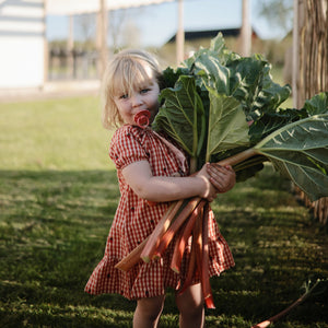 FRIGG Rope/Daisy Natural Rubber Pacifier (Sunflower/Fuchsia) 2-Pack (6-18 Months)
