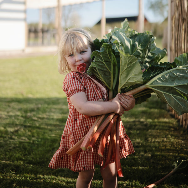 FRIGG Rope/Daisy Natural Rubber Pacifier (Sunflower/Fuchsia) 2-Pack (6-18 Months)