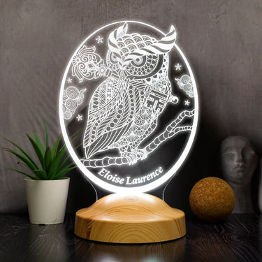 Personalized Owl Gift, Owl 3D LED Lamp, Perfect Gift for Owl Lovers by Drn Gift Store