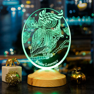 Personalized Owl Gift, Owl 3D LED Lamp, Perfect Gift for Owl Lovers by Drn Gift Store