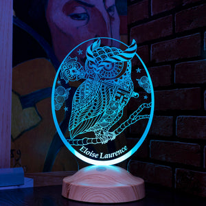 Personalized Owl Gift, Owl 3D LED Lamp, Perfect Gift for Owl Lovers by Drn Gift Store