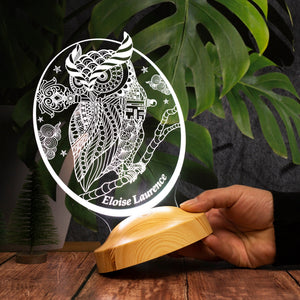 Personalized Owl Gift, Owl 3D LED Lamp, Perfect Gift for Owl Lovers by Drn Gift Store