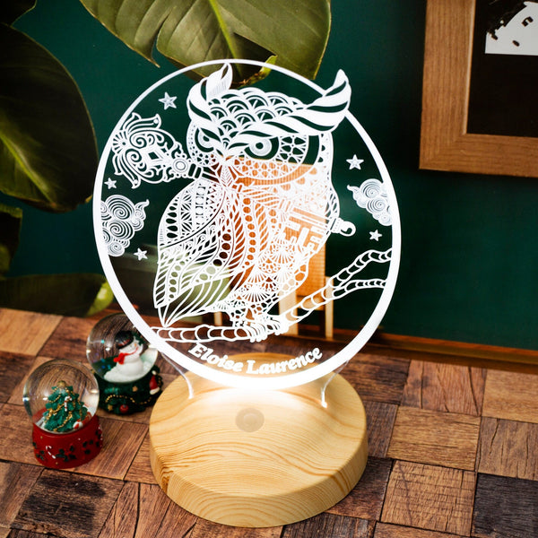 Personalized Owl Gift, Owl 3D LED Lamp, Perfect Gift for Owl Lovers by Drn Gift Store