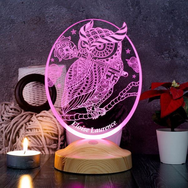 Personalized Owl Gift, Owl 3D LED Lamp, Perfect Gift for Owl Lovers by Drn Gift Store